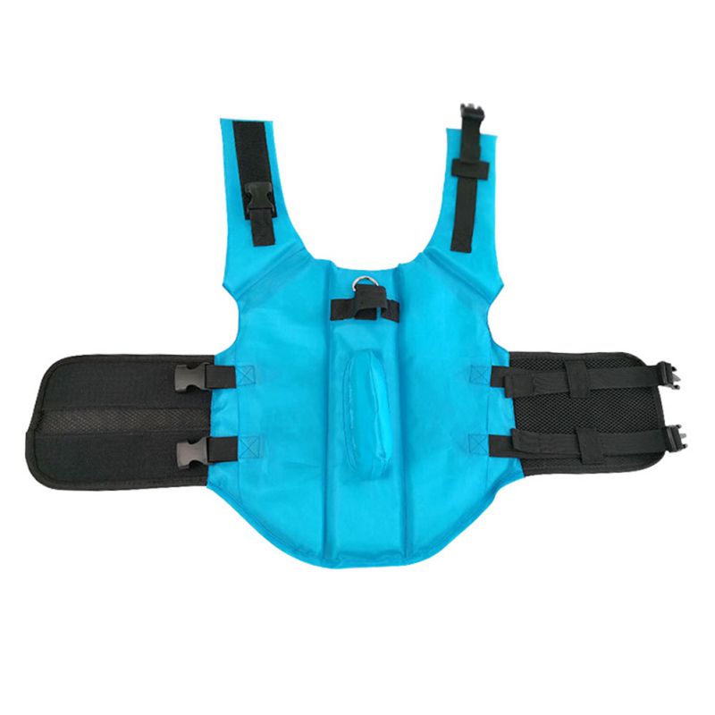french bulldog life jacket