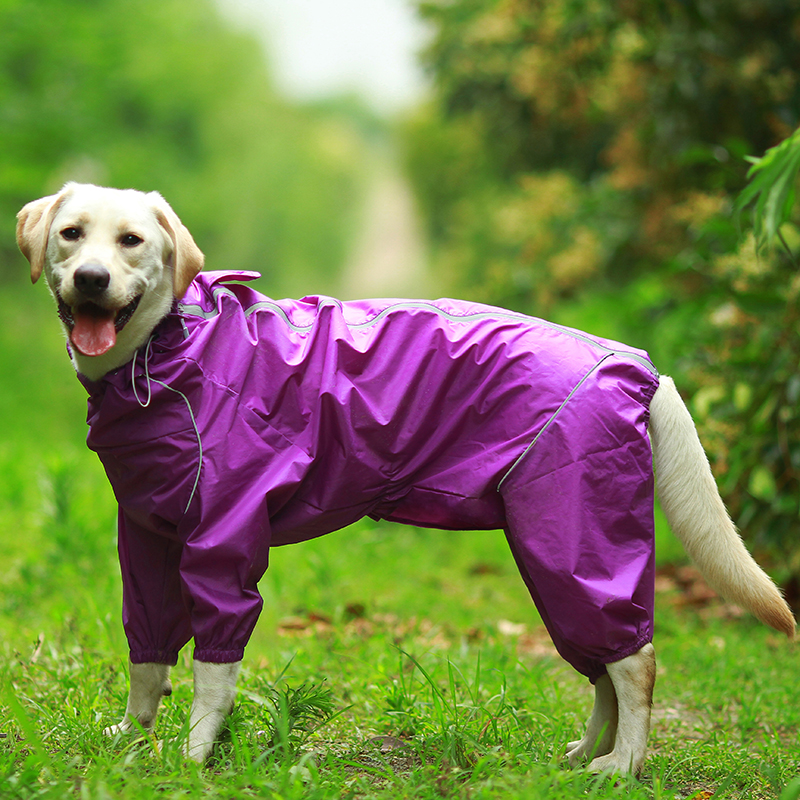 DogMEGA Reflective and Waterproof Raincoat for Dog