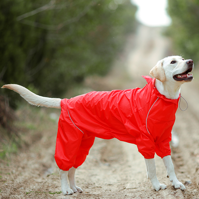 DogMEGA Reflective and Waterproof Raincoat for Dog