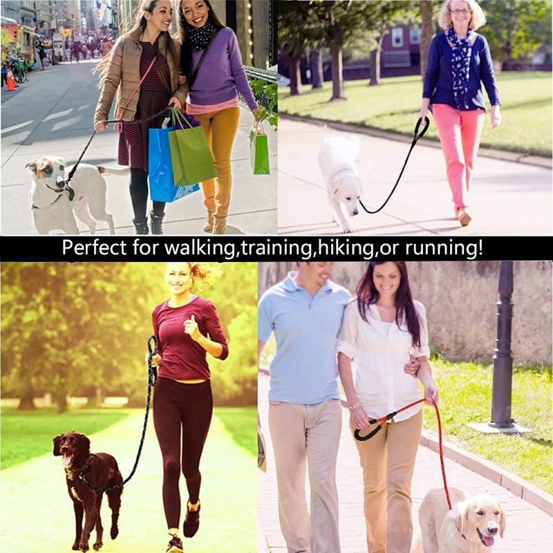 Climbing Rope Dog Leash