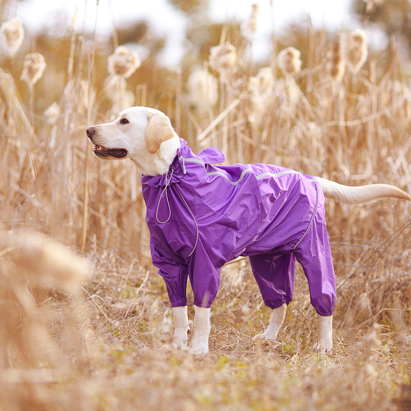 DogMEGA Reflective and Waterproof Raincoat for Dog