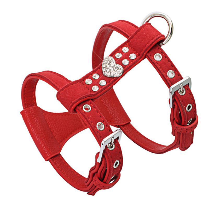 cute small dog harness