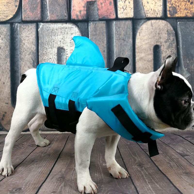 shark life vest for dogs