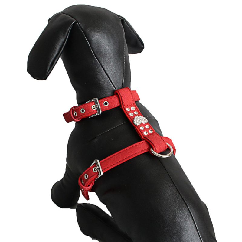 cute dog harness and leash