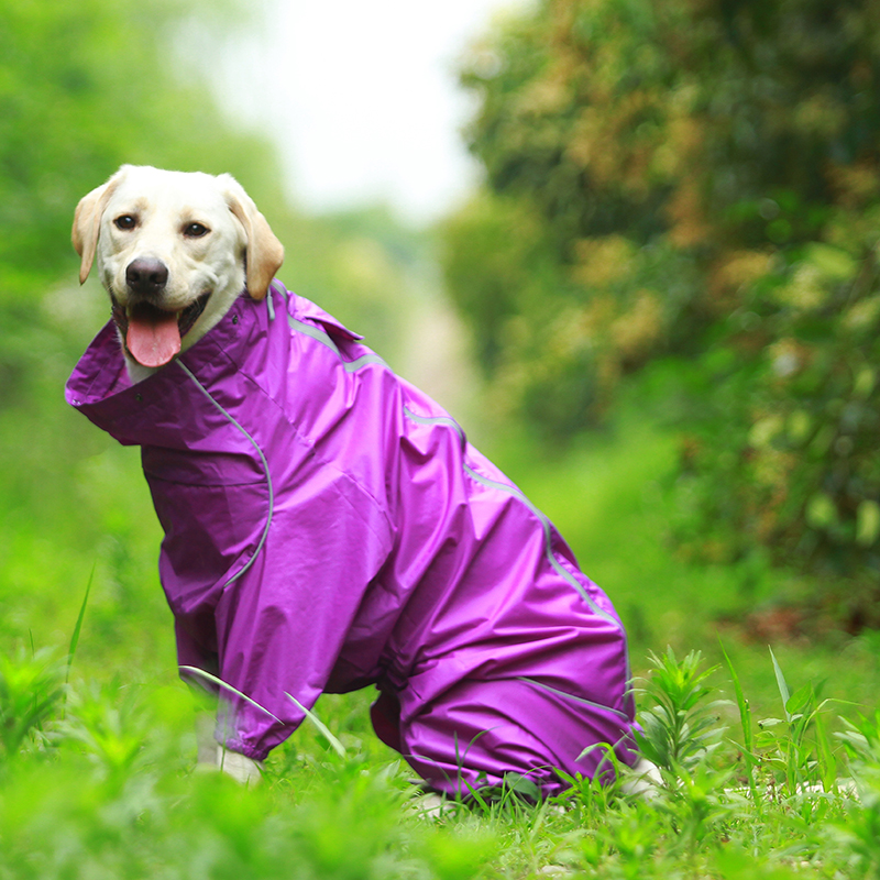 DogMEGA Reflective and Waterproof Raincoat for Dog