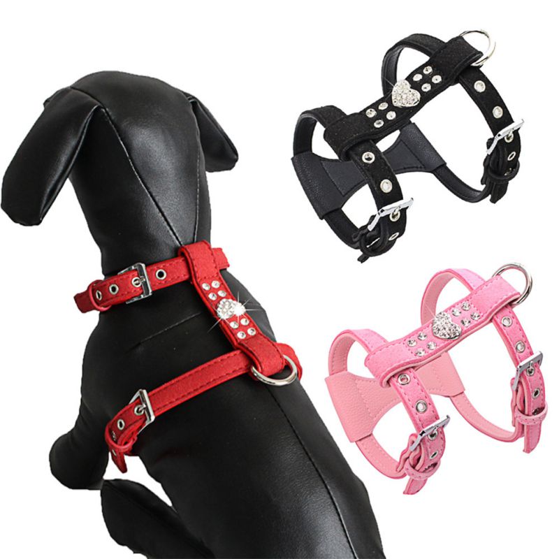 cute female dog harness
