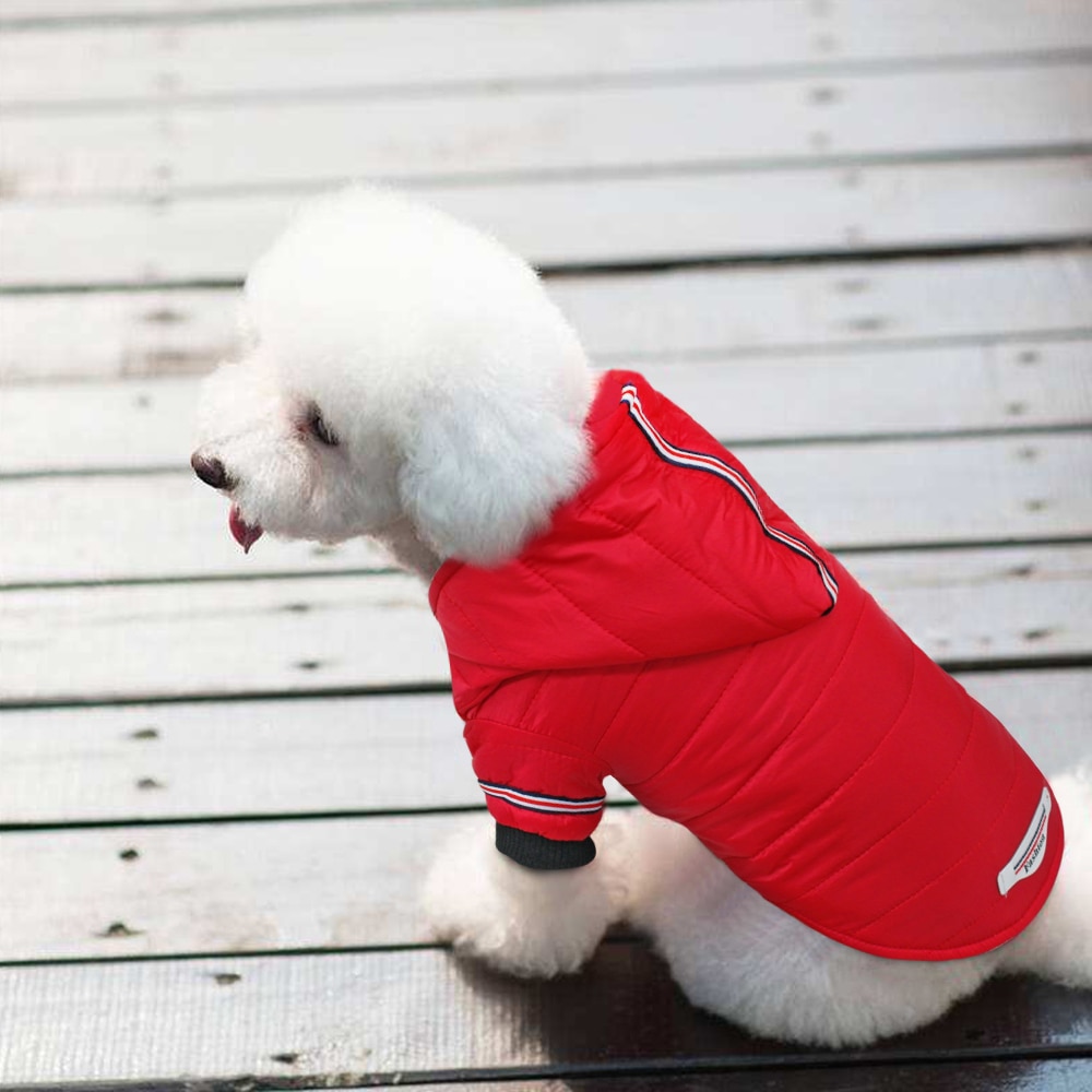 Dog Snowsuit for Small Dog | Waterproof Dog Snowsuit-heyidear