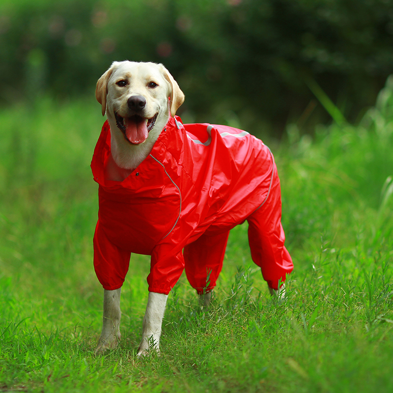 DogMEGA Reflective and Waterproof Raincoat for Dog