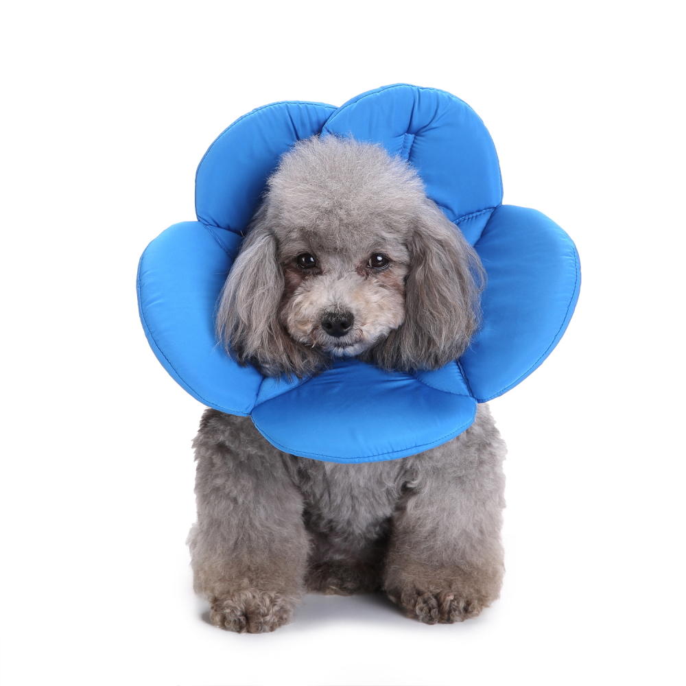 Pet Protective Hood Anti-Bite Anti-Scratch Neck Protection Pet Dog Collar-heyidear