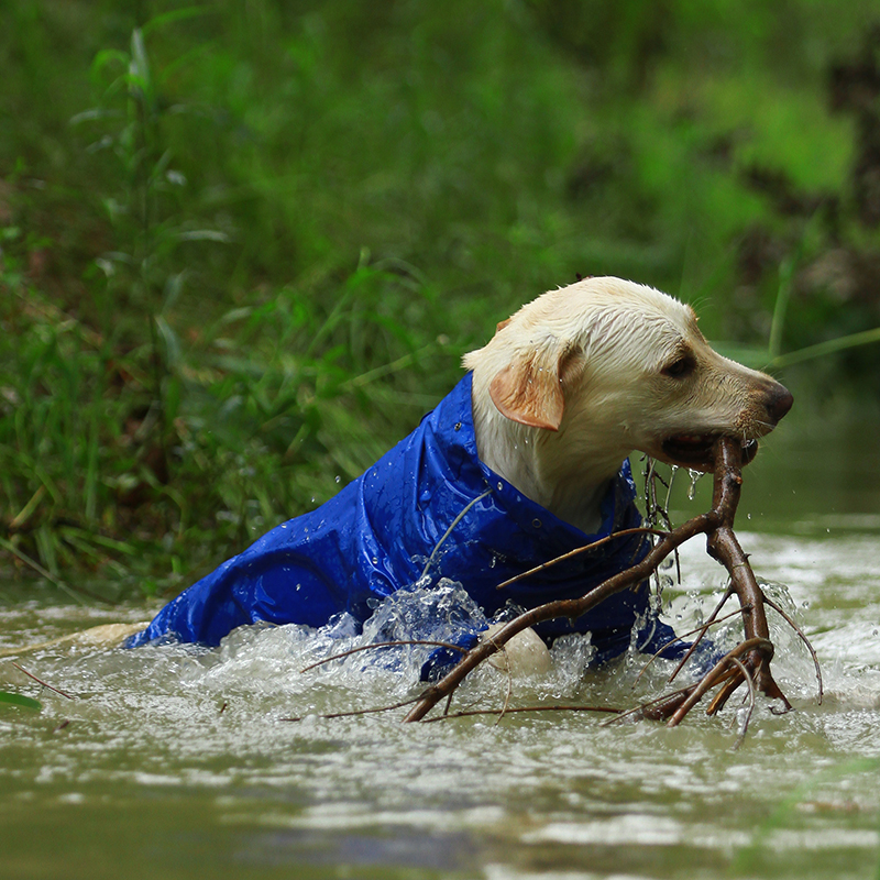 DogMEGA Reflective and Waterproof Raincoat for Dog
