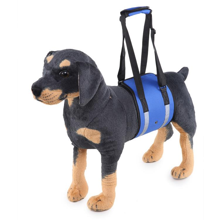 Dog Waist Harness Gog Harness Pet Protection Belt Nylon Clasp Protecting Waist Belt Sport Running Leash Pet Dogs Product-heyidear