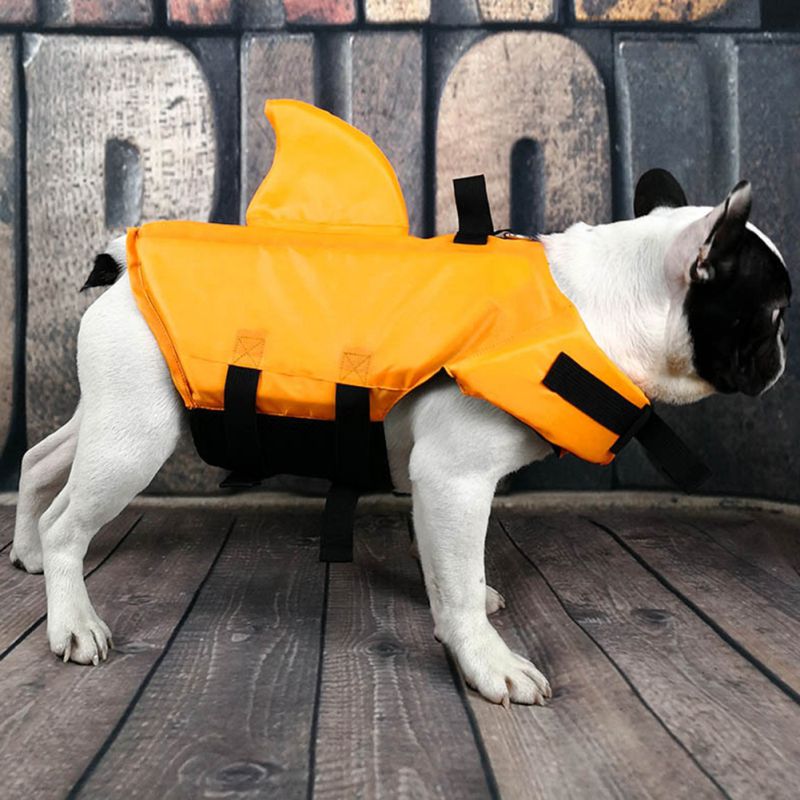 shark vest for dogs
