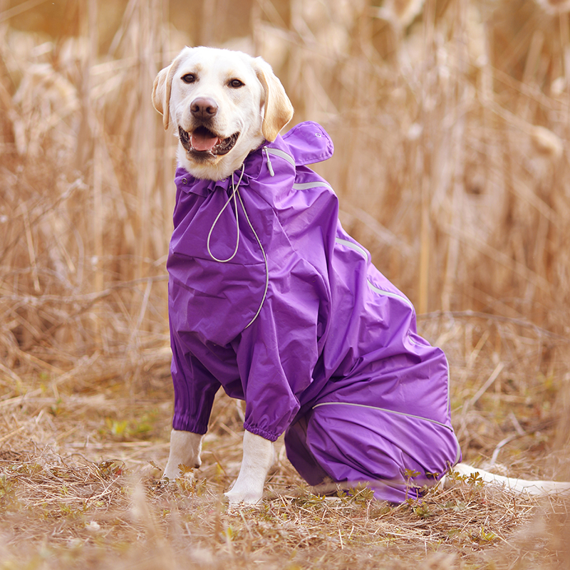 DogMEGA Reflective and Waterproof Raincoat for Dog