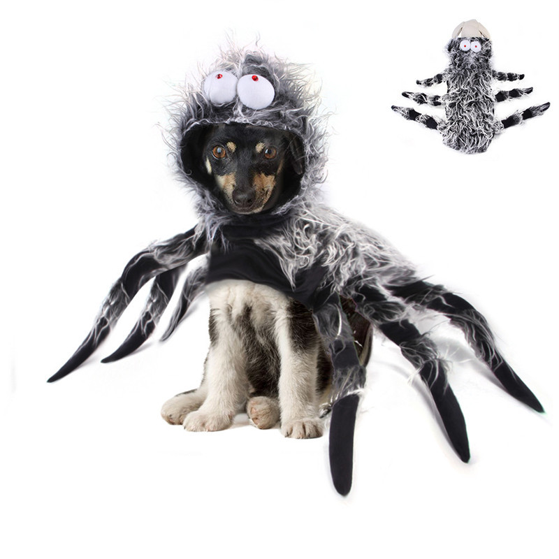 Funny Spider Cosplay Halloween for Dog-heyidear
