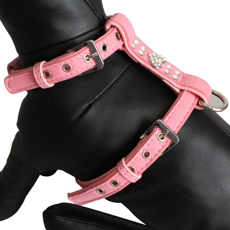cute girl puppy harness