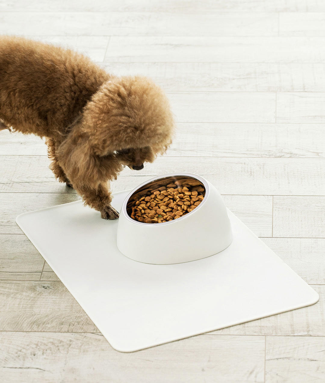 Pet Bowl-heyidear