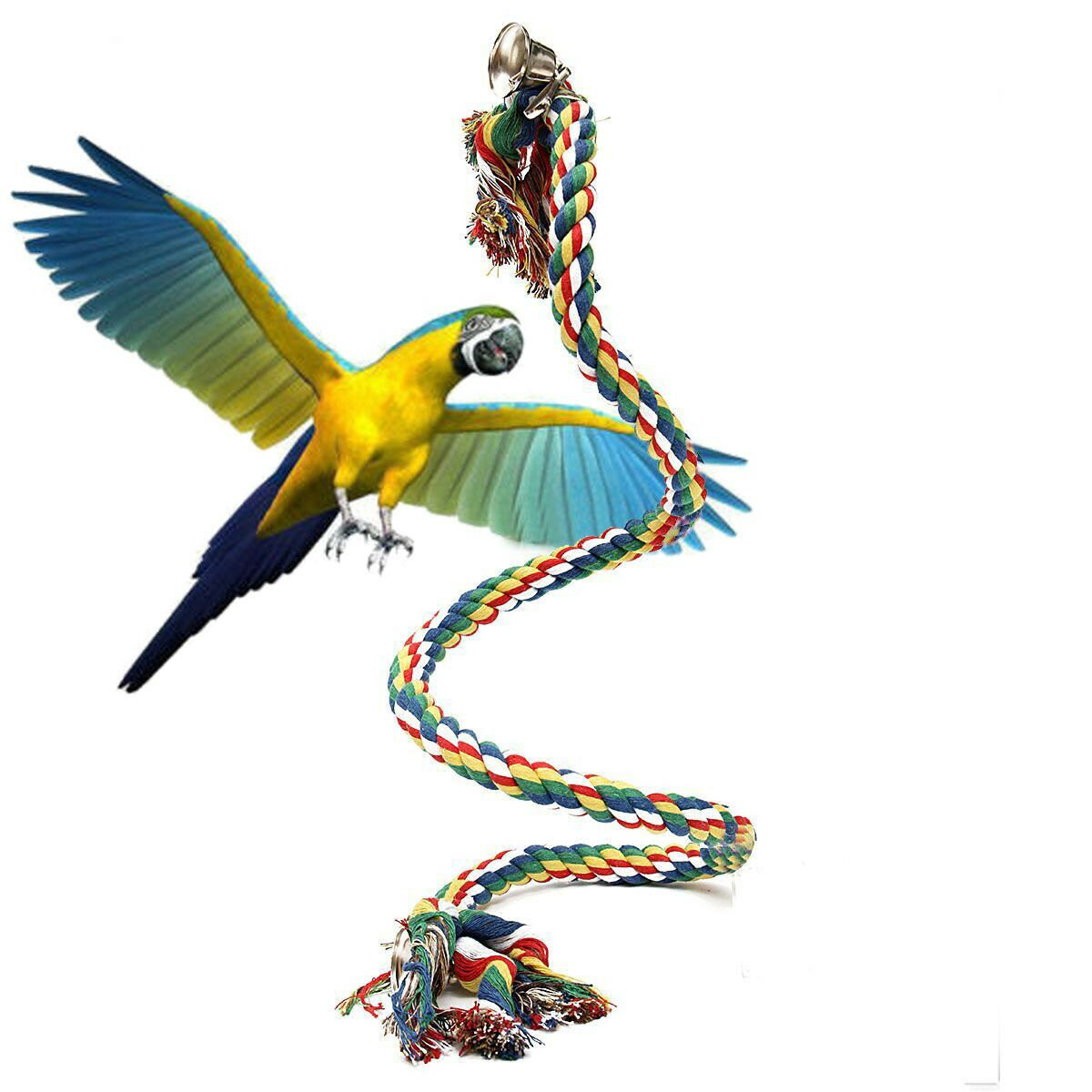 Pet Parrot Chew Rope Budgie Bell Bird Perch Coil Swing Cockatiel Cage Toys-heyidear