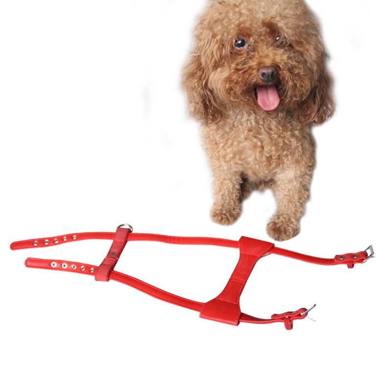 cute dog harness