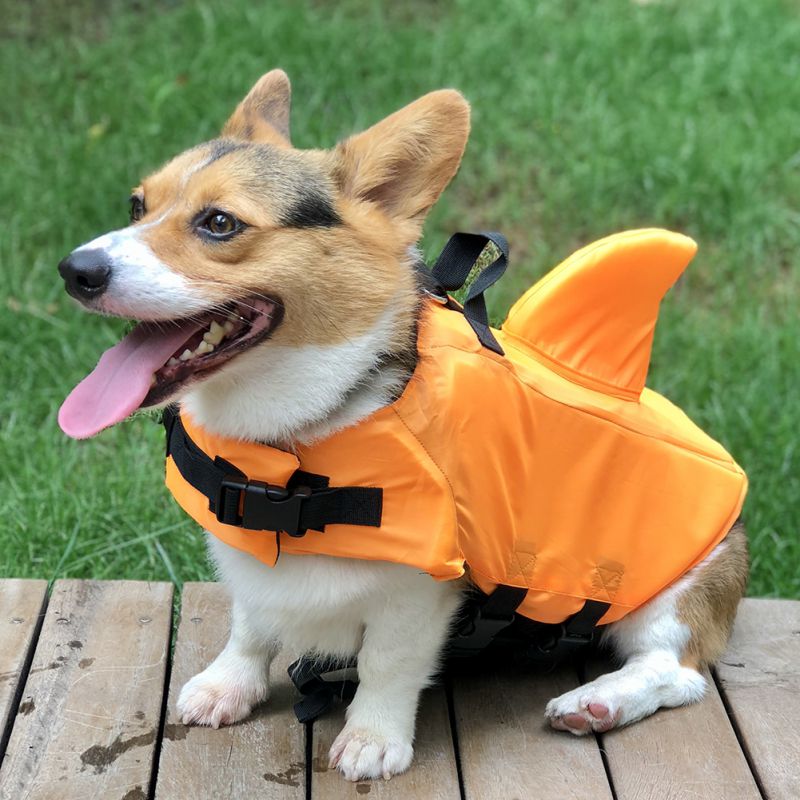 dog life jacket,