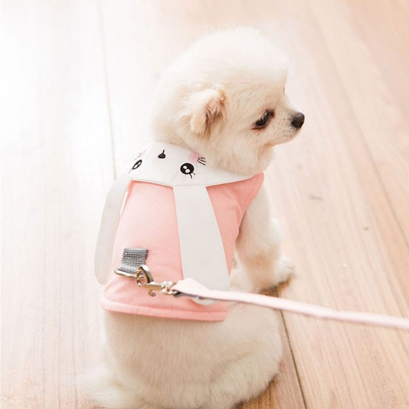 Cute Dog Vest Harness | Walking Rope For Small Dogs-heyidear