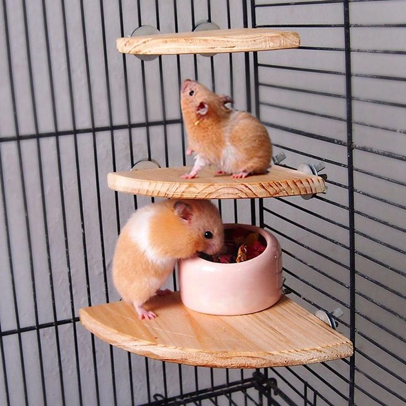 Wooden Coin Parrot Bird Cage Perches Stand Platform Pet Budgie Hanging Toy Pet Toys-heyidear