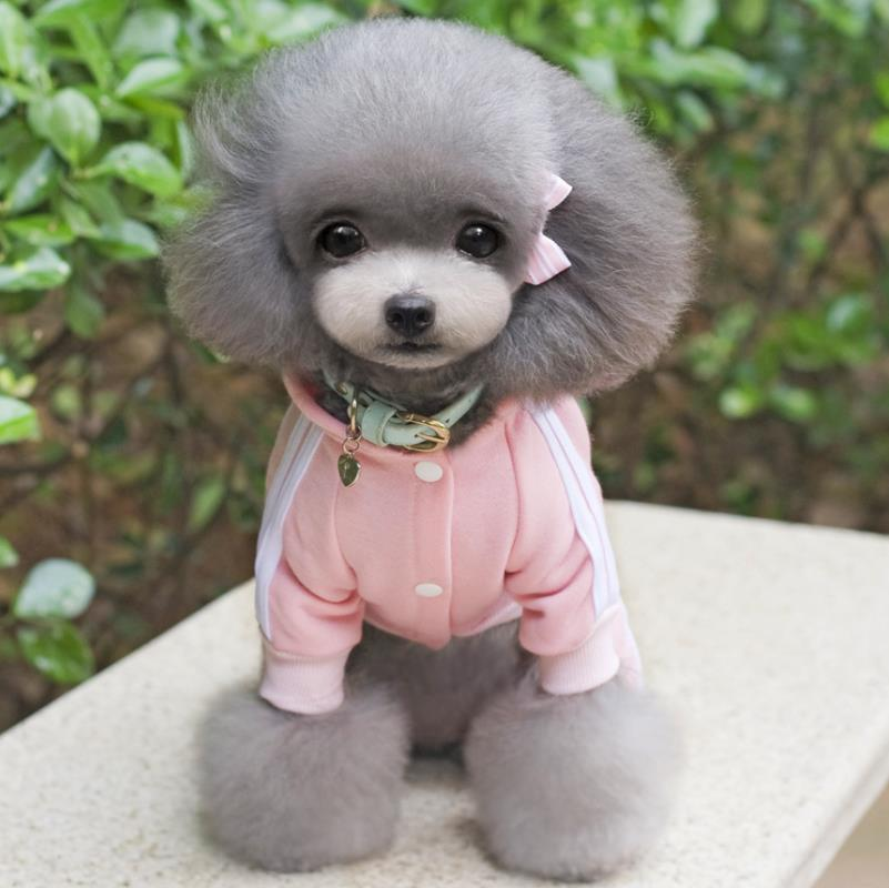 Winter Warm Pet Dog Clothes Four-Legs Hoodie Small Dogs Sport Style Cotton Coats-heyidear