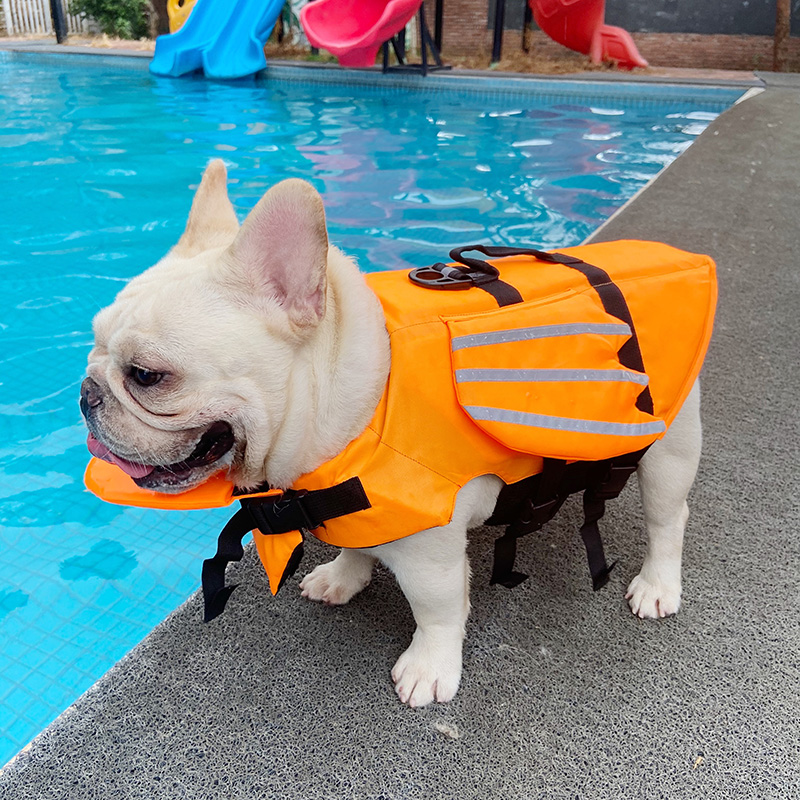 Reflective Dog Life Jacket Dog Swimming Suit French Bulldog-heyidear