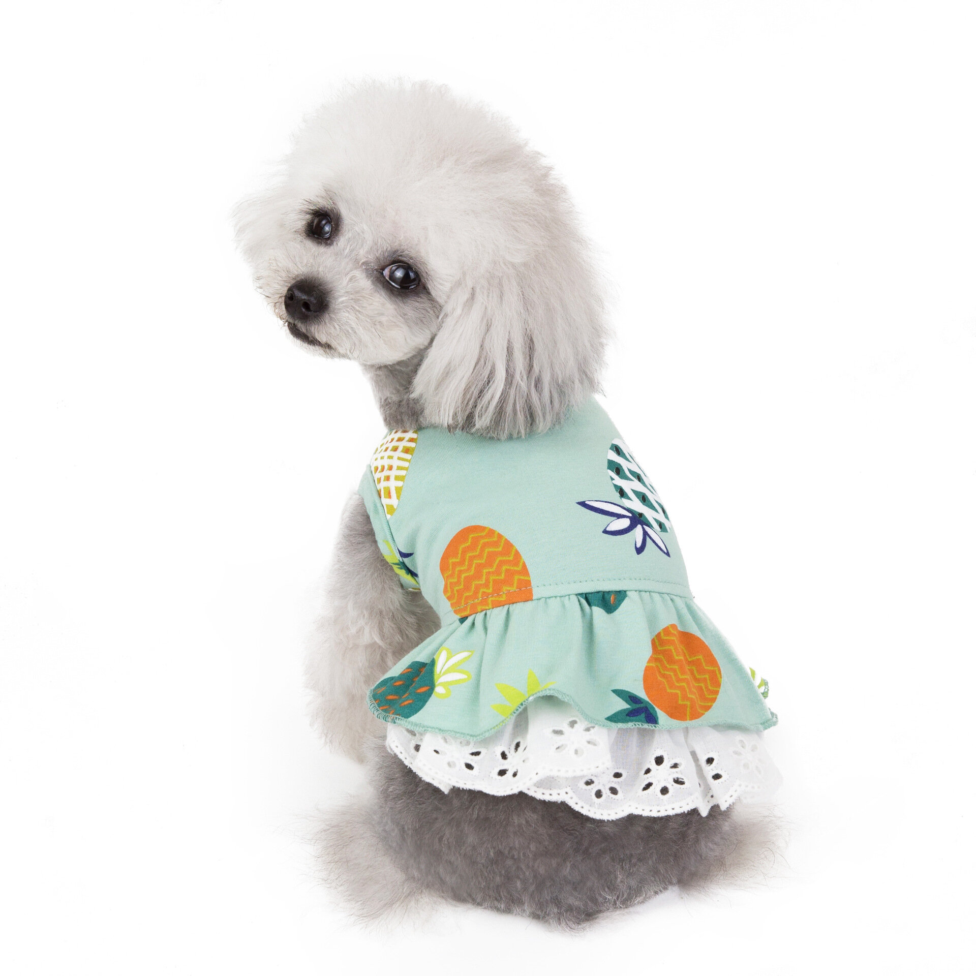 Pineapple Pattern Pet Skirt Spring And Summer Cat And Dog Clothes-heyidear