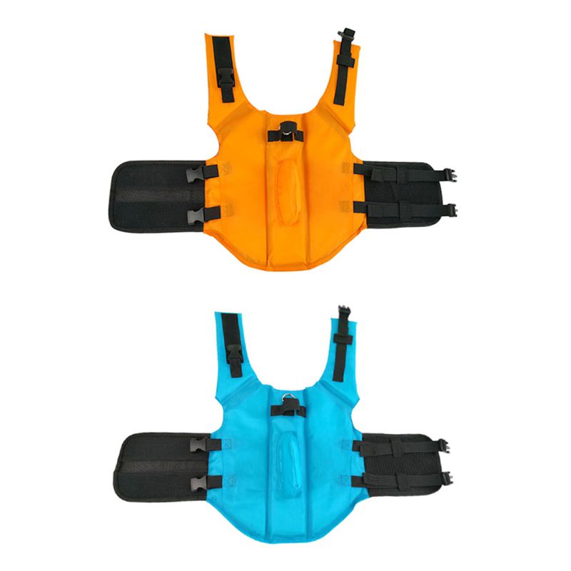 small dog life jacket