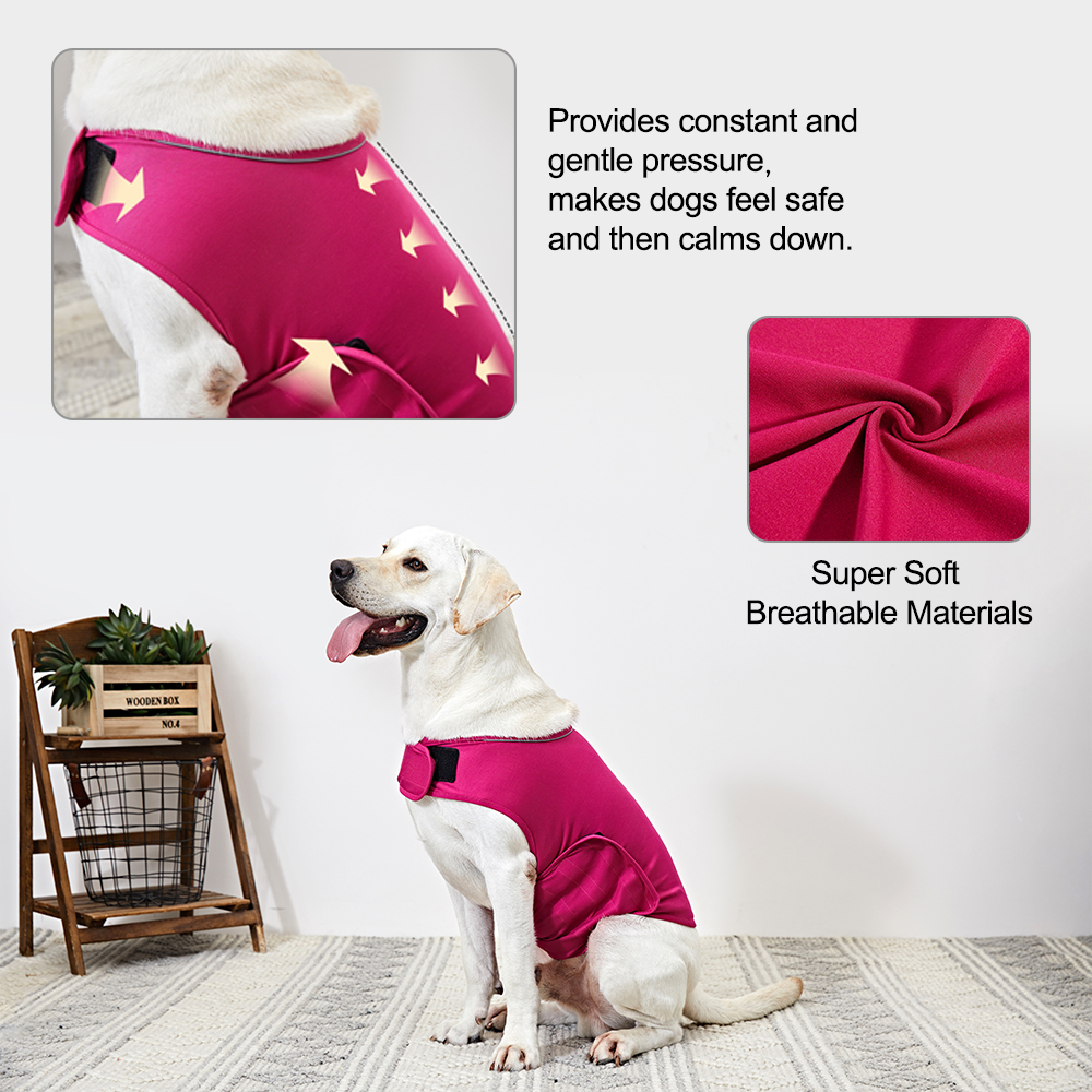 calming vest for dogs