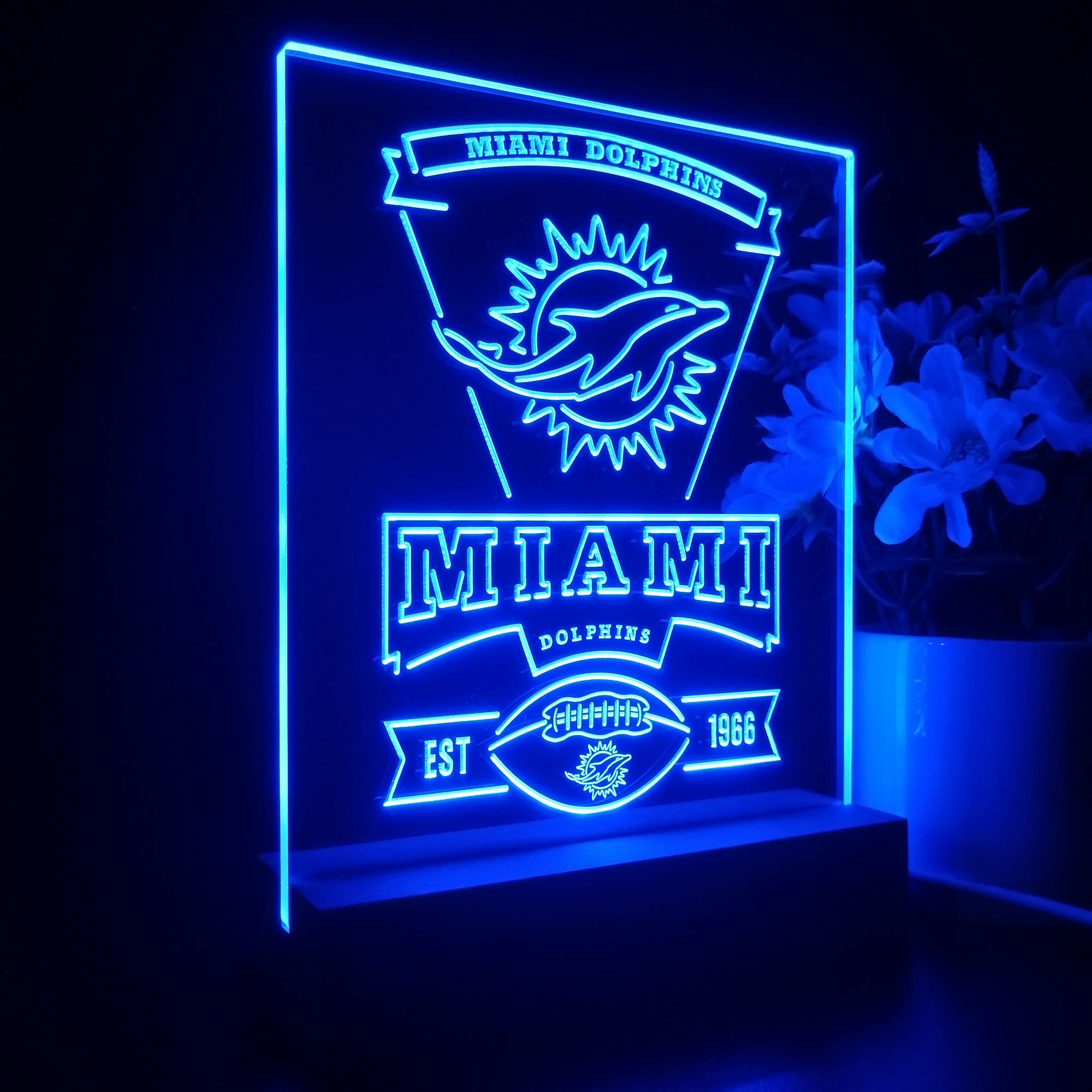 Miami Dolphins 3D Lamp Personalized Led Lamp Night Light Man 