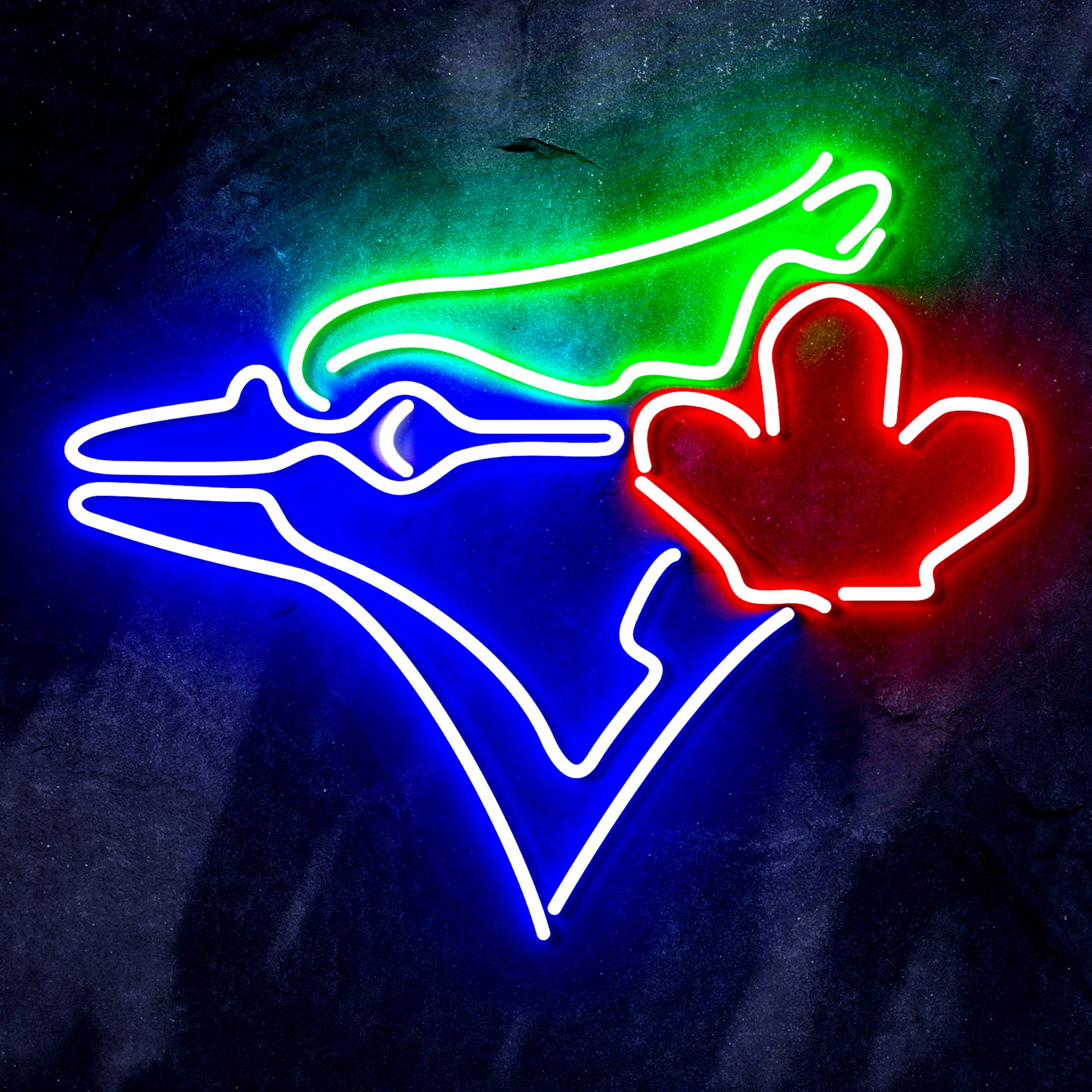 MLB Tampa Bay Rays Neon-like Sign Beer Bar Decor - Zign Sign