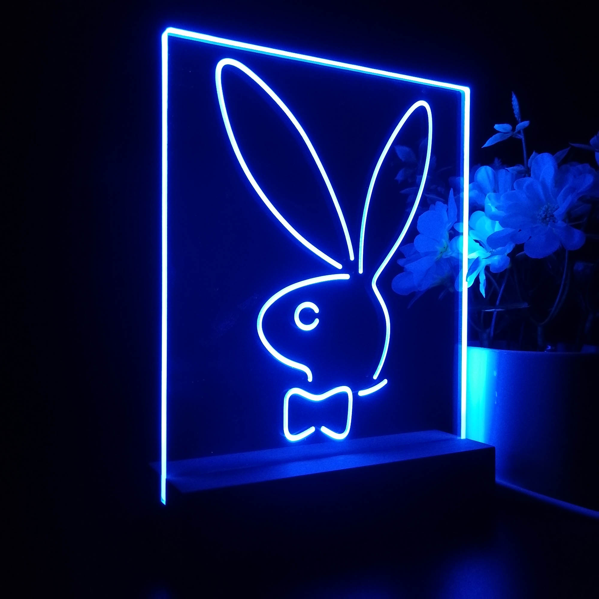 Bunnys Rabbits Kid Room Decor Movie Fan Neon-like Led Night Desk Lamp