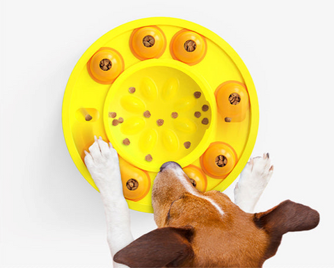 Wisdom Dog Toys Slow Leakage Feeding Training - primaprom247