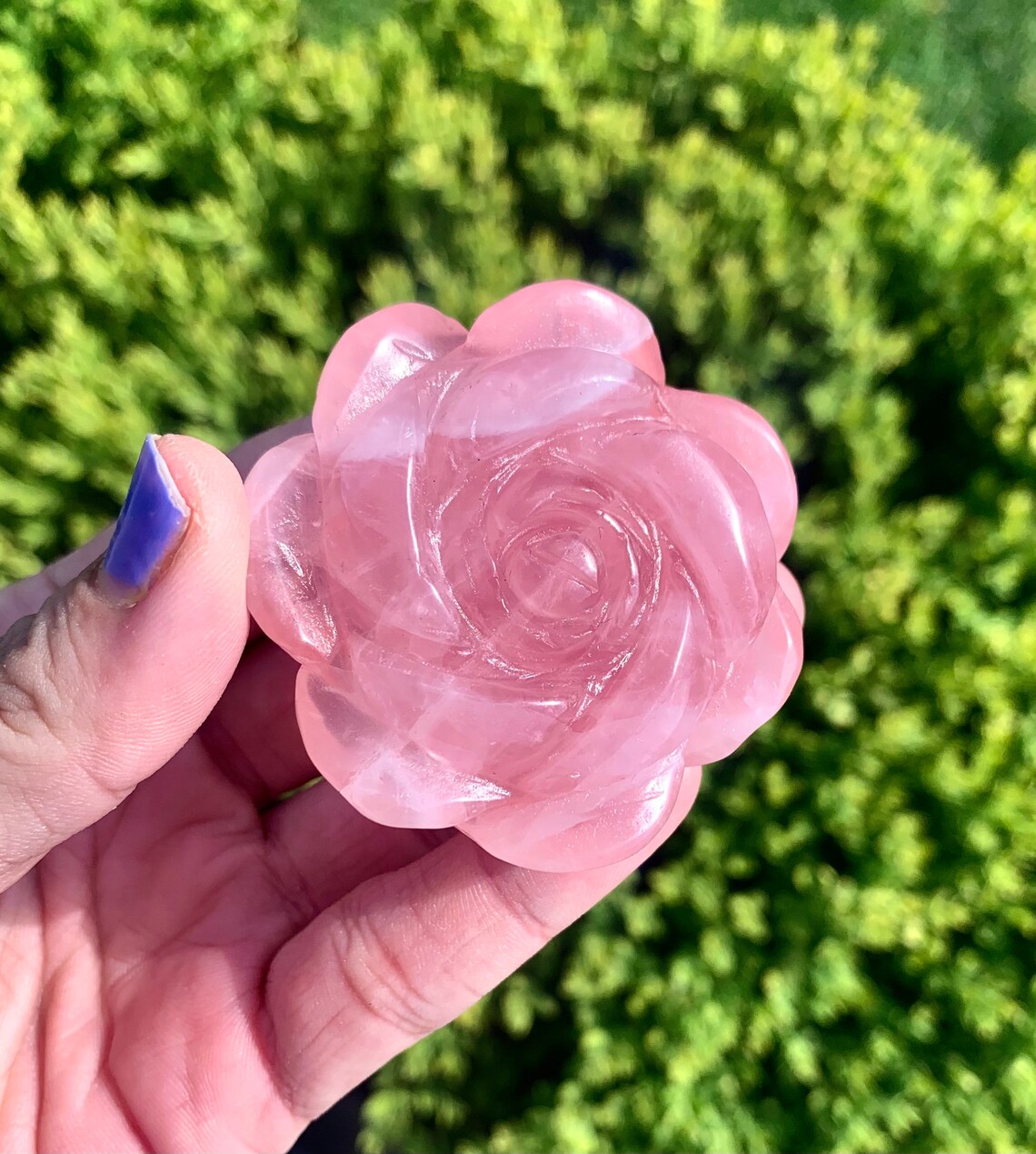 Natural Rose Quartz Rose
