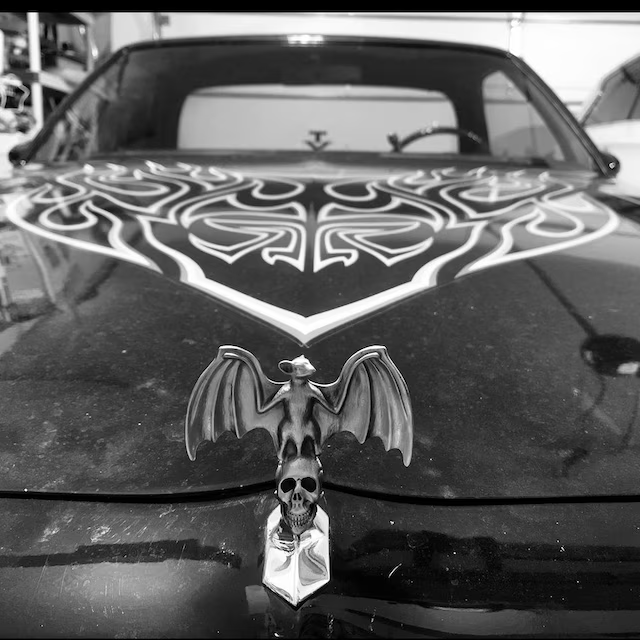 Rare Bat On SkullCar Hood Ornament