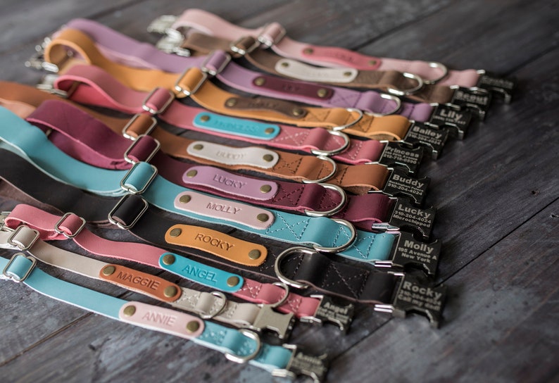 Leather dog collar, Personalized dog collar, dog collar, leather, FREE MACHINE ENGRV buckle, personalized leather dog collar personalized