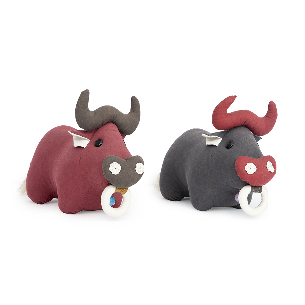 Baby Bison with nose ring