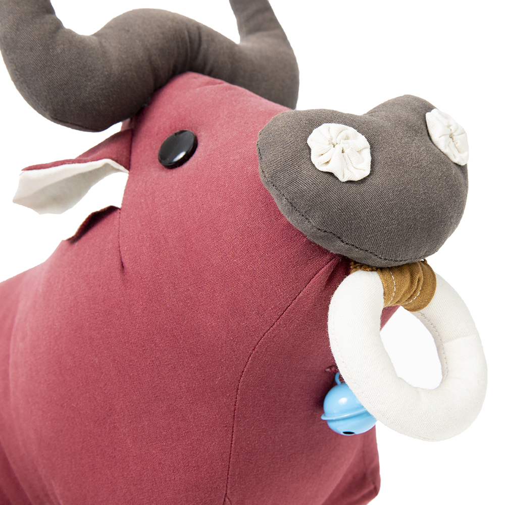 Baby Bison with a big nose ring