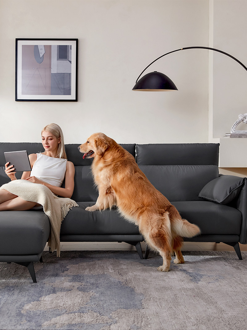 Linsy® Home Furniture Buy Loveseat,Sectional Sofa,Pet Friendly Sofa