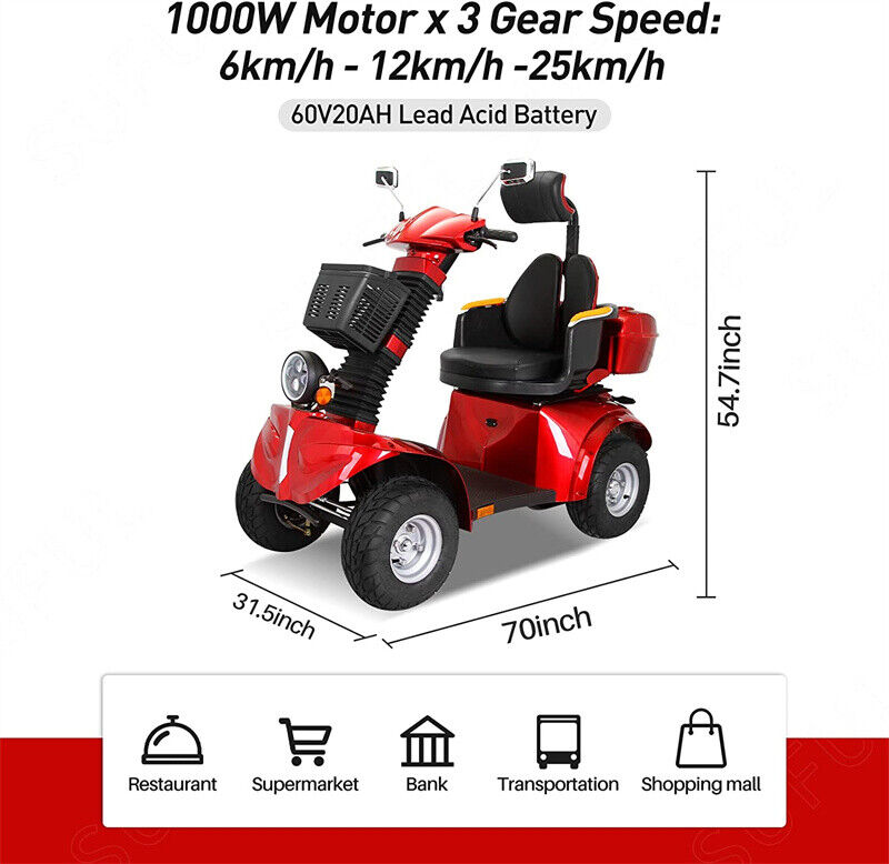 4 Wheels Travel Mobility Scooter 1000W 60V 20AH Battery Motor for Adult Senior