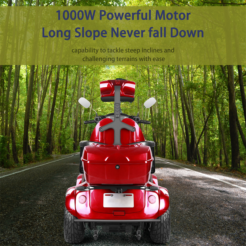 4 Wheels Travel Mobility Scooter 1000W 60V 20AH Battery Motor for Adult Senior