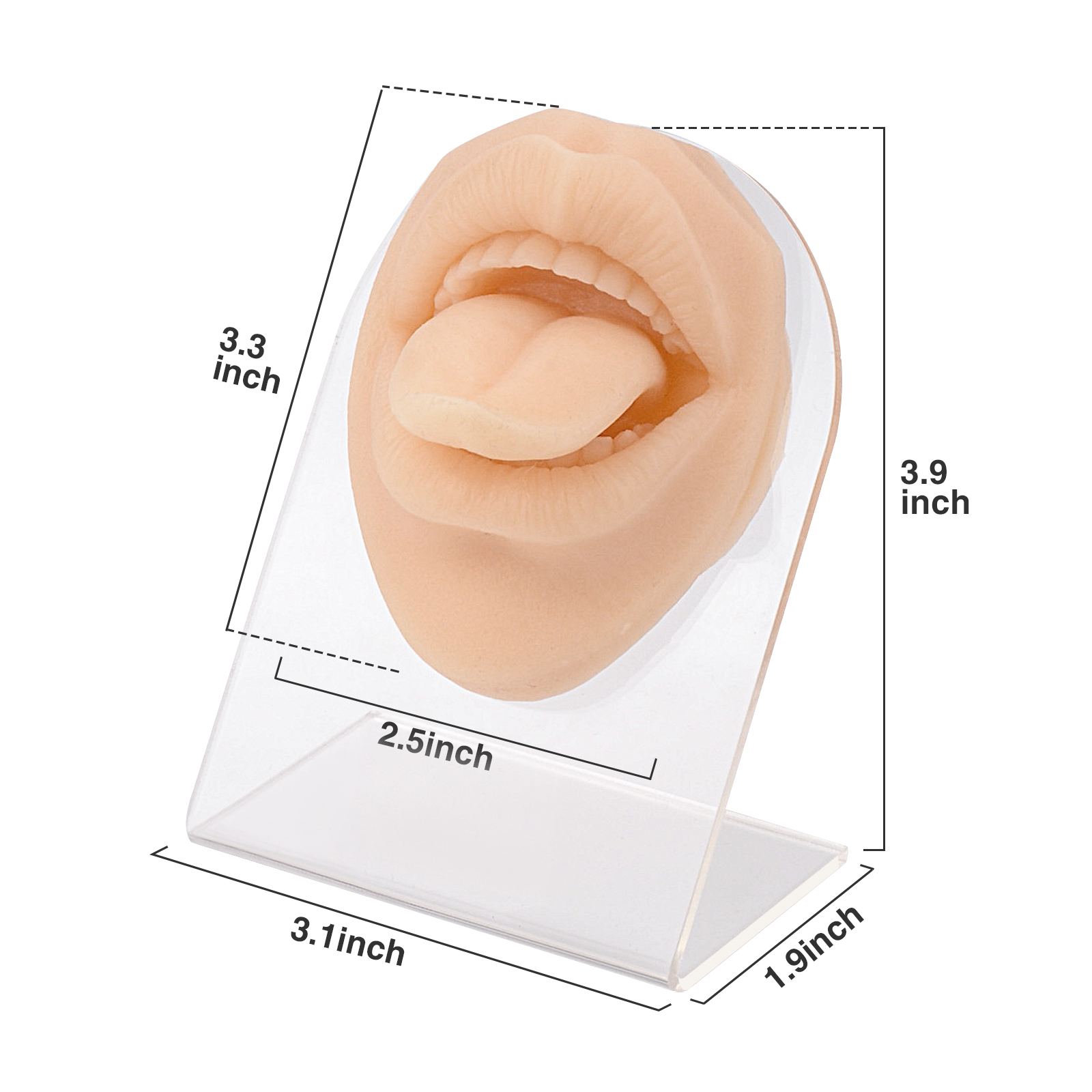 Human Tongue Mouth Model,Silicone Tongue Model, Human Tongue Model Soft  Silicone Lifelike Acrylic Stand Mouth Model for Jewelry Display (Skin Color)