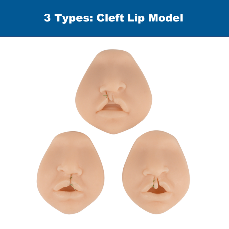 Ultrassist Cleft Lip Repair Suture Training Simulator, Unilateral/Bilateral