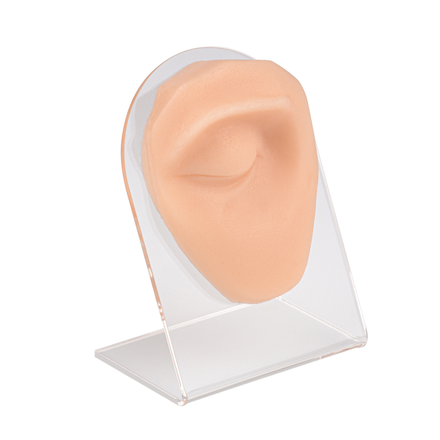 Ultrassist Silicone Right Eye Model for Eyebrow Piercing