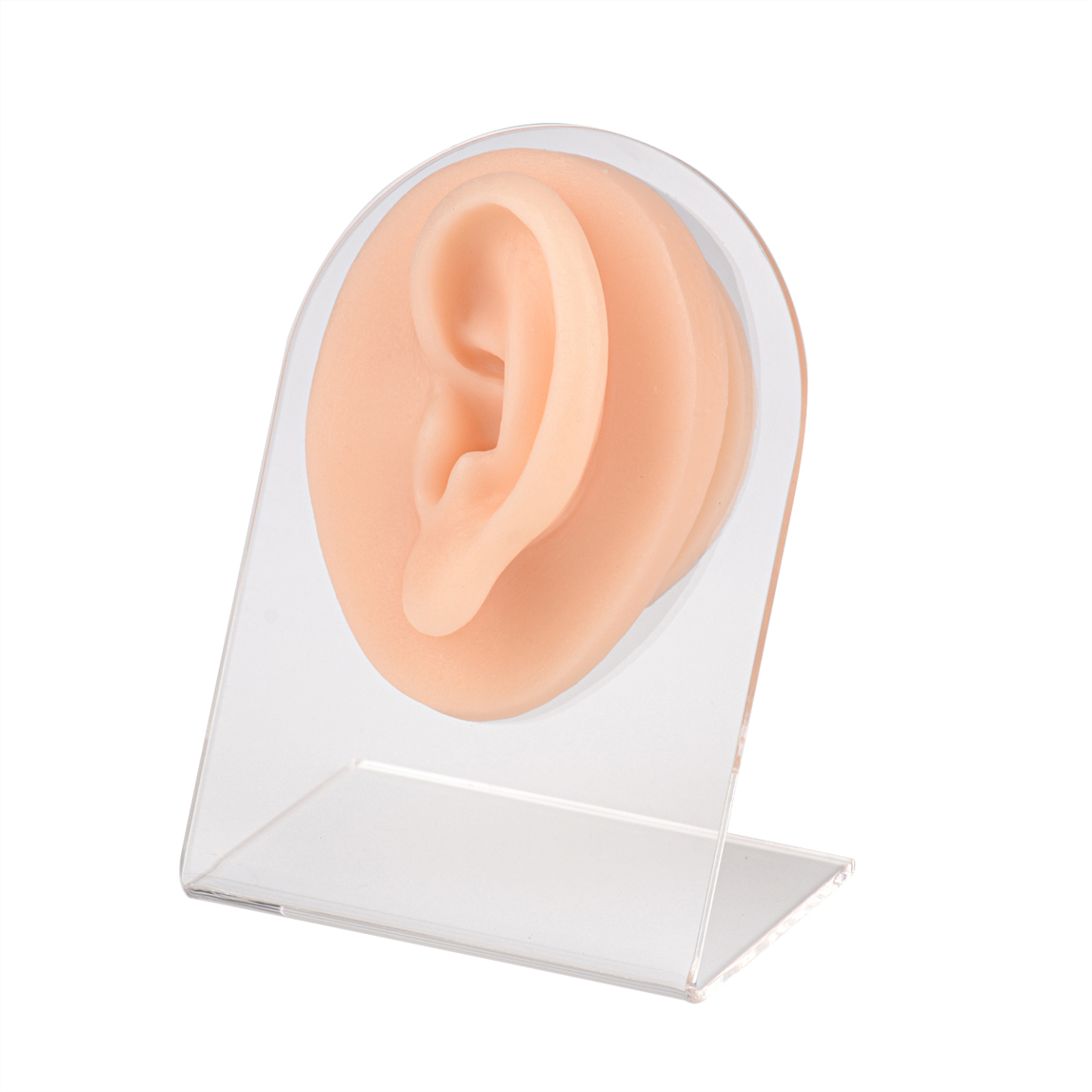 Ultrassist Silicone Ear Model for Practice Piercing