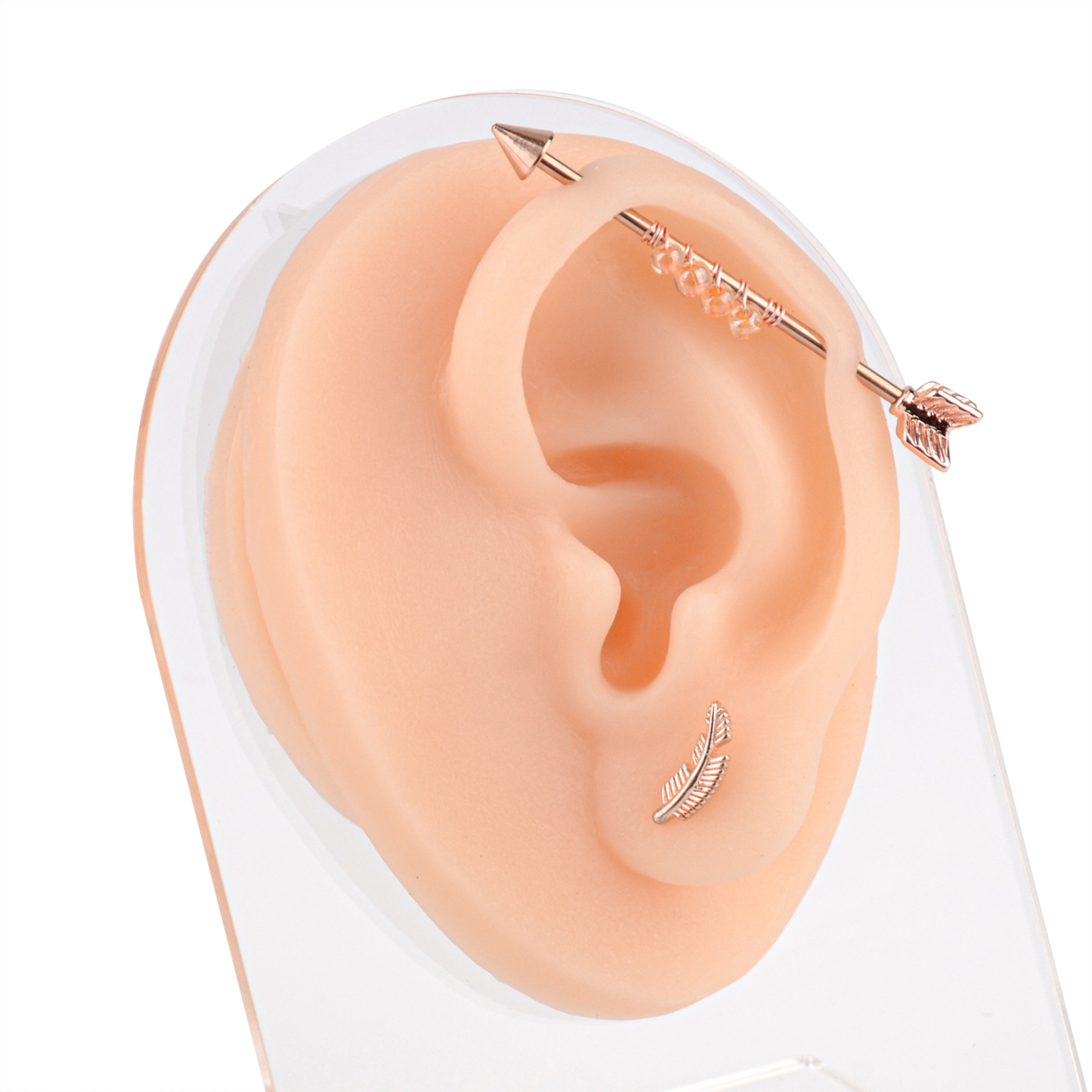 Ultrassist Practice Piercing Ear Silicone Model for Earring Display