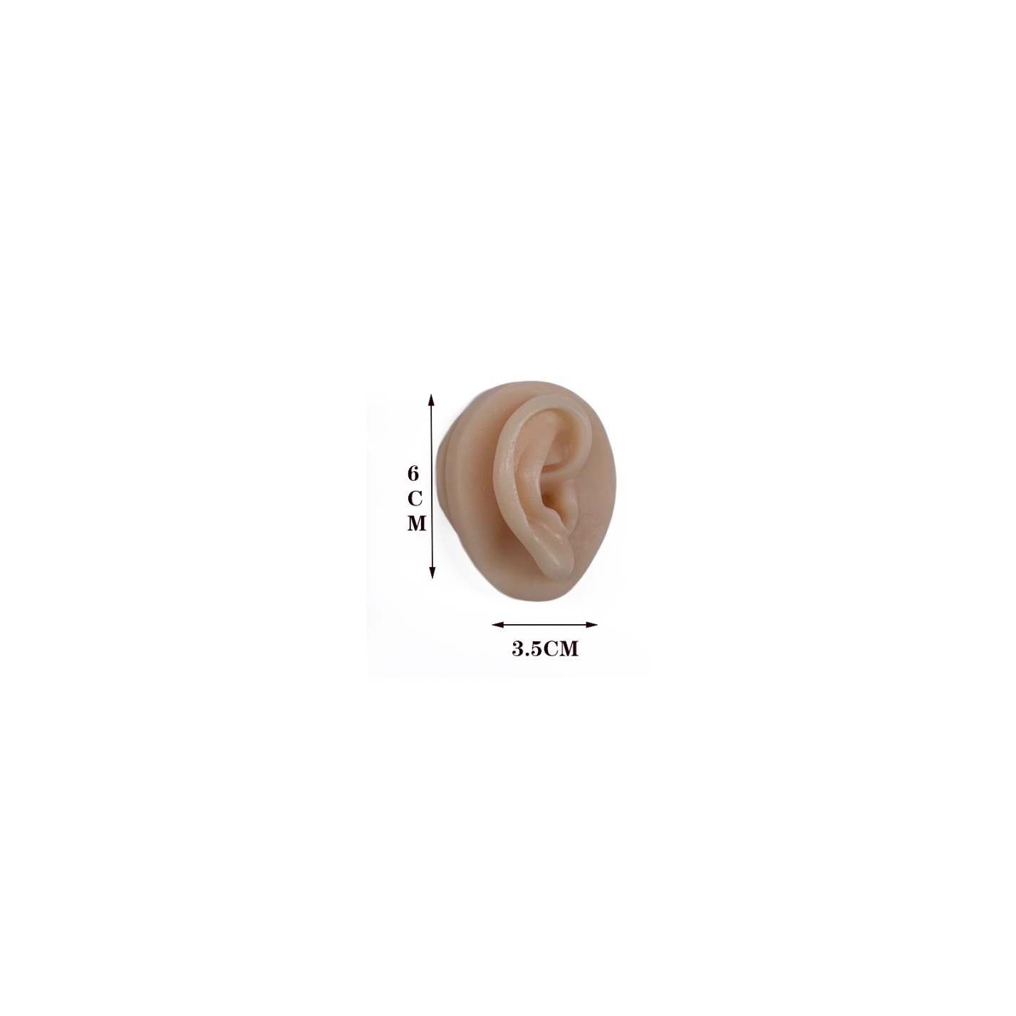 Silicone Acupuncture Ear Model, Enlarged for Auricular Training