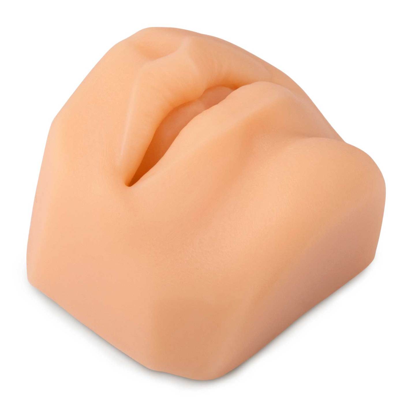 Ultrassist Soft Silicone Mouth Model for Practicing Suture, Lip Tattoo