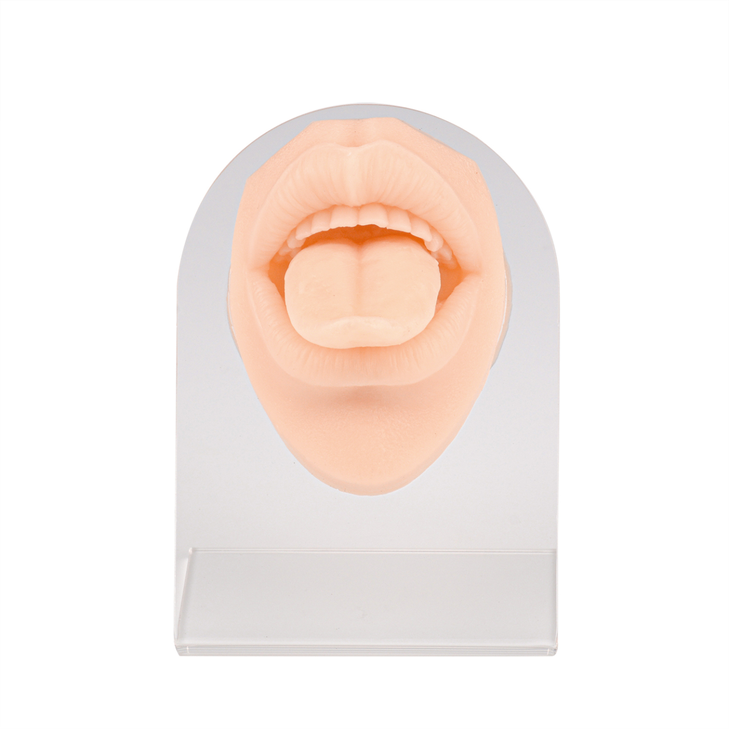 Ultrassist Snake Tongue Piercing Practice Model